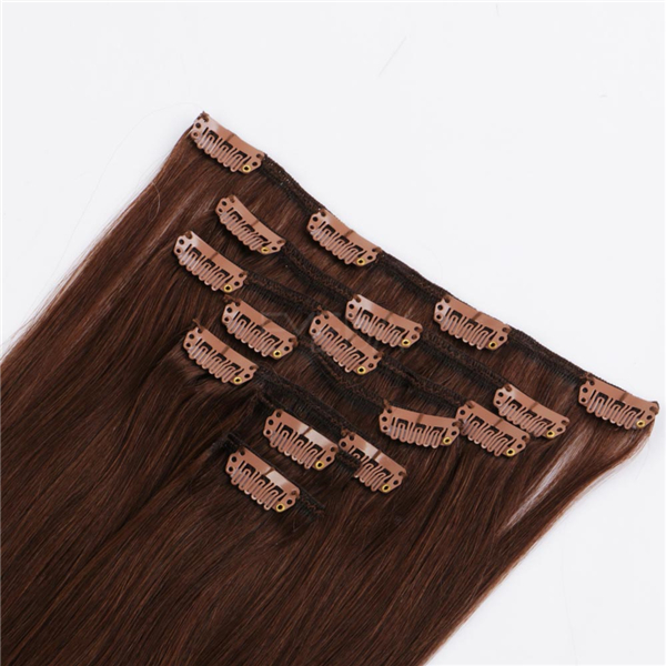 Clip In Human Hair Extensions Black WJ071